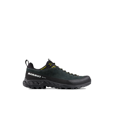 Mammut Alnasca IV Low LTH GTX Men