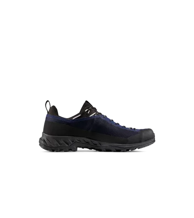Mammut Alnasca IV Low GTX Men