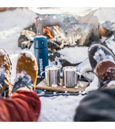 Чаша Primus 4-Season Mug 0.3l