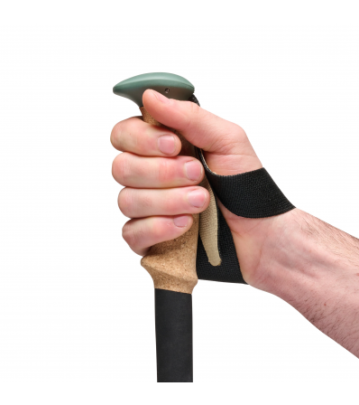 Black Diamond Trail Cork Trekking Poles