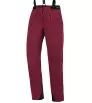 Direct Alpine Midi Lady 1.0 W's Pants